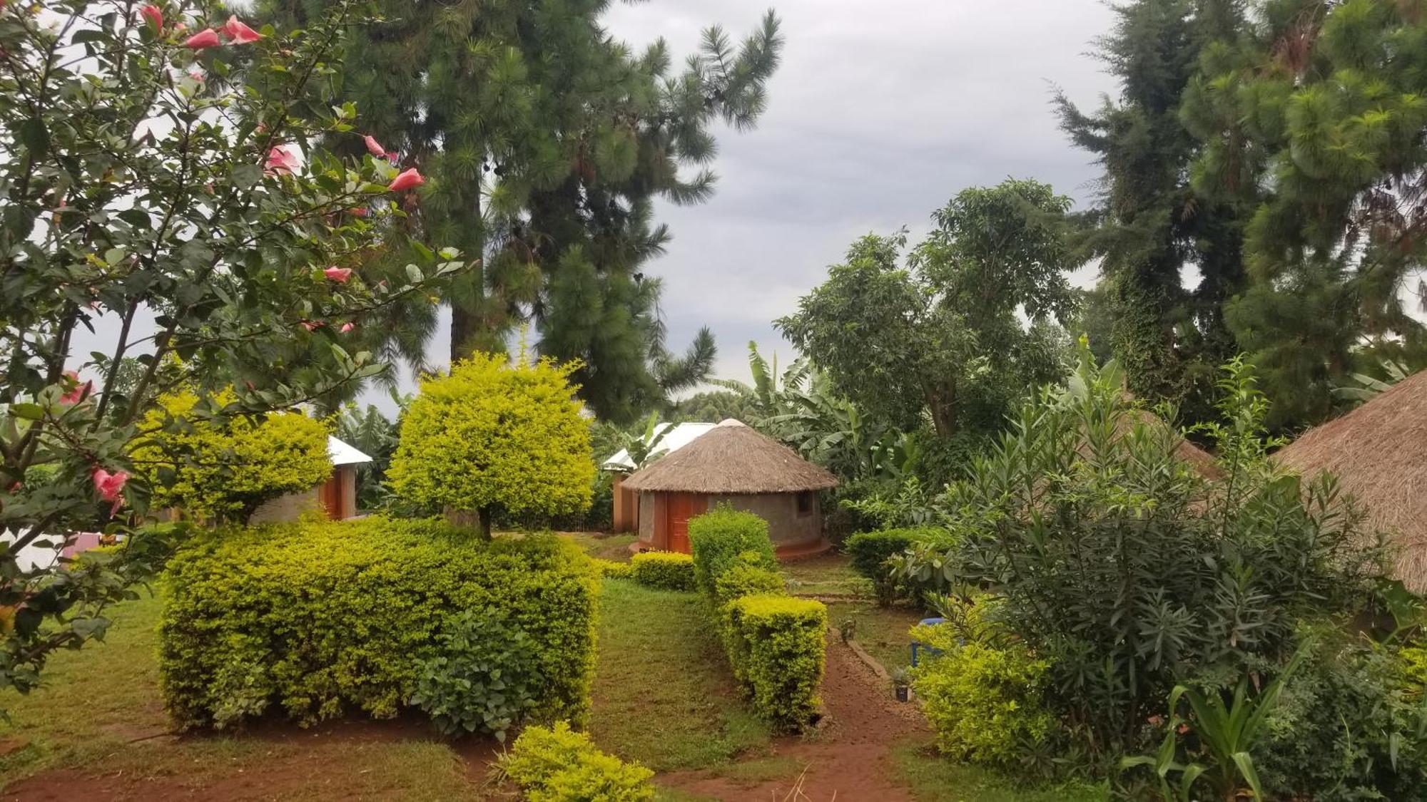 Hotel Rock Garden Sipi à Kapchorwa Extérieur photo