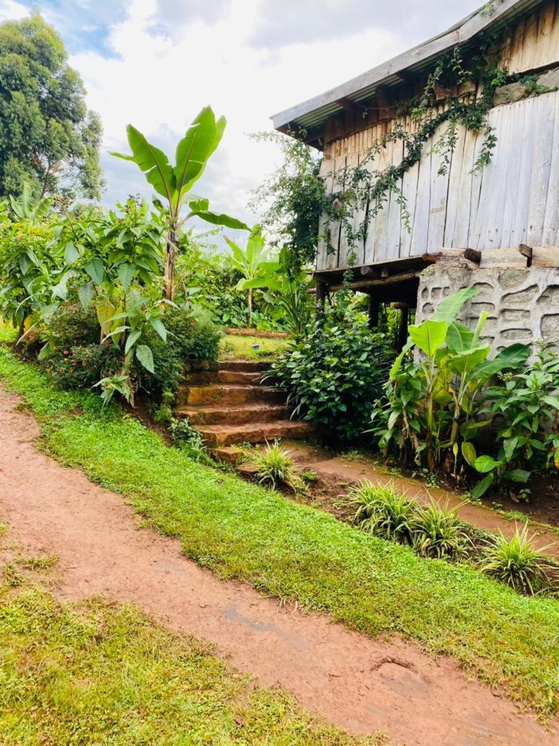 Hotel Rock Garden Sipi à Kapchorwa Extérieur photo