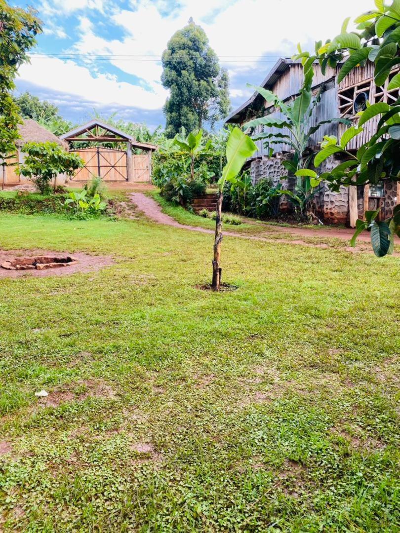 Hotel Rock Garden Sipi à Kapchorwa Extérieur photo