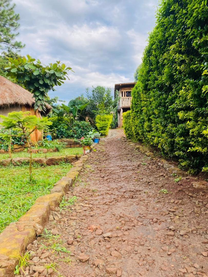 Hotel Rock Garden Sipi à Kapchorwa Extérieur photo